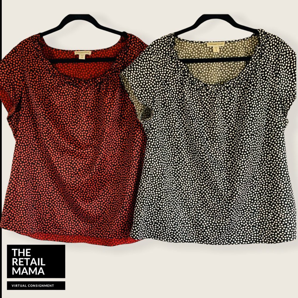 Set of 2 Womens Blouses